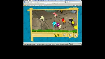 BiNWeeVils new place !