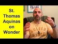 Great Quote: St. Thomas Aquinas on Wonder