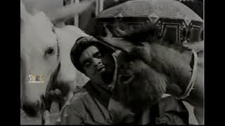 ALLAH MERI JHOLI MEIN JHAM SE CHALE AAO - MUKRI - SHABNAM [1964]