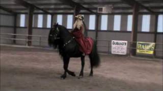 Friesian Stallion Frederik the Great performing at Twin Springs Equ...