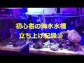 海水水槽立ち上げ日記⑩