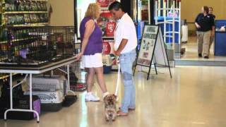 AAMC Petsmart Adoption Day  - 6/04/11
