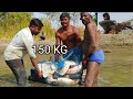 Traditional Fishing Techniques | Amazing Big Fishes | Village Fishing