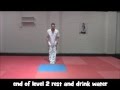 Taekwondo workout