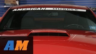 Mustang MMD Hood Scoop Pre-painted (05-09 GT, V6) Review