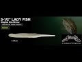LADY FISH　【ノリーズ】　水中アクション映像　　NORIES