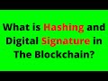 Crypto Exchanges Explained: Hashing & Digital Signatures in Blockchain π