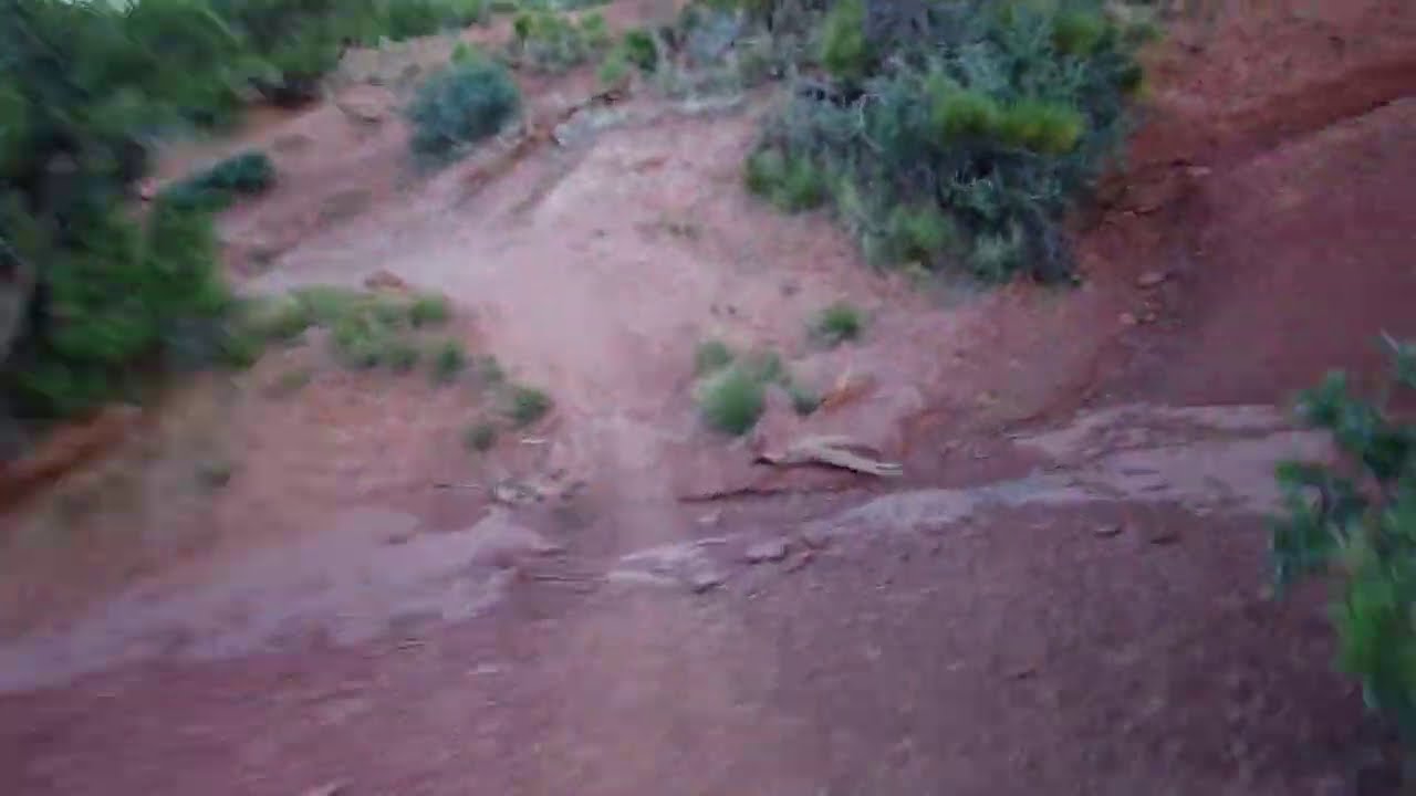 Trail run meditations