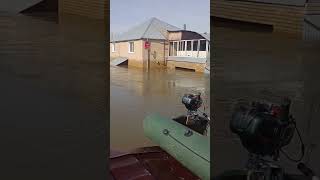 Оренбург Потоп, Вода Отступает, Последствия