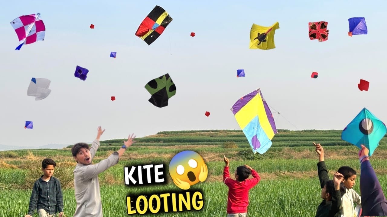 Kite looting in fields😱 || Itny sary kites pkr liye😍 || Live kite looting🪁 || Kite chamero scenes🥵
