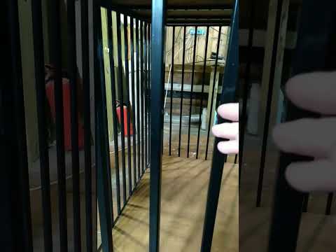 Клетка для собаки Maks