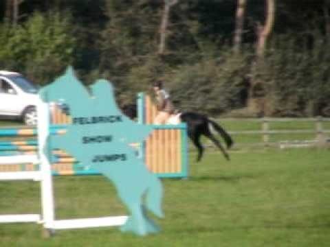 Tori's SJ At Burnham Novice