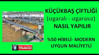 Örnek Küçükbaş Çi̇ftli̇k Projesi̇ Izgaralı -Izgarasız Kaç Paraya Nasil Yapilir %50 Hi̇beli̇ Koyun Ağili