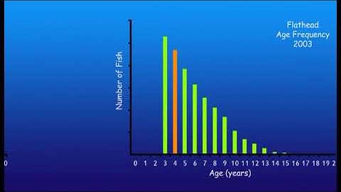 Fisheries Stock Assessment Modelling Video 05 - Mortality