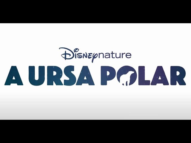 A Ursa Polar': Documentário já está disponível no Disney+! - CinePOP