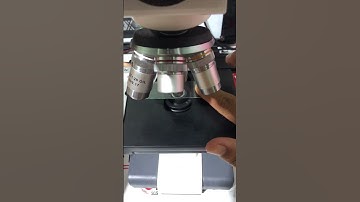 Rain water under microscope 😱 #shorts