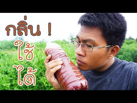 ต้องรู้ ! กลิ่นจุลินทรีย์สังเคราะห์แสงเป็นยังไงกันแน่ ?