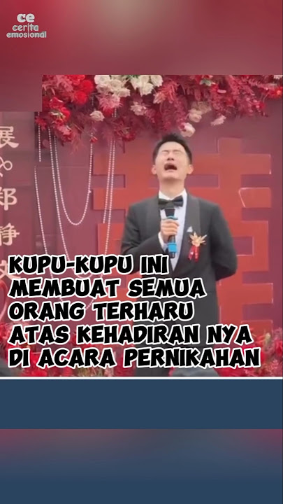 kedatangan kupu-kupu di acara pernikahan membuat pengantin pria sangat terharu.