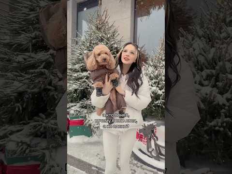 ричик новогодний лось🥰 #daryana #juice #christmasjuice #shorts