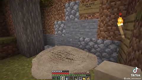 realistic Minecraft