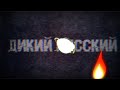 РЕЦЕНЗИЯ КАНАЛА ДИКИЙ РУССКИЙ