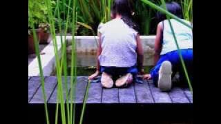 Re: Ebiet - Yang Tak Mampu Ku Lupa - Revisited   Lyrics