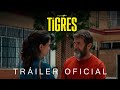 Los Tigres: Tráiler Oficial Estreno 31 Oct en cines