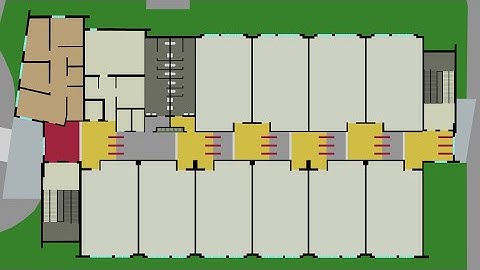 Marjory Stoneman Douglas Animation