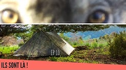 SECRETS DE FORET EP 10 : LES GALERES S'ACCUMULENT, MAIS LE RÉSULTAT EST LA !