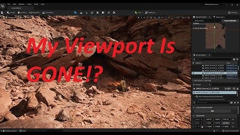 How to Re-Open Viewports on UE5