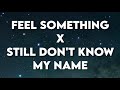 I Just Wanna Feel x Still Don&#39;t Know My Name (Tiktok)(Lyrics)
