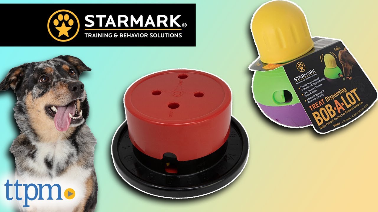 Pet Supplies : Pet Chew Toys : Starmark Bob-A-Lot Interactive Dog