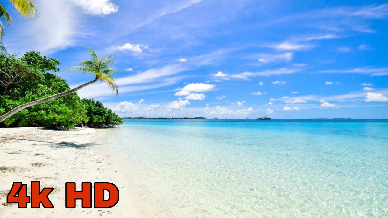 4k Sea Ultra HD Video Beautiful Nature Beech Whatsapp status Video Hd