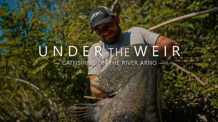 BKK - Under the Weir - Catfishing on River Arno