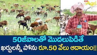 Gorrelu, Mekalu Pempakam | ఖర్చులన్నీ పోను రూ.50వేలు ఆదాయం.. Sheep and Goat Farming | Tone Agri