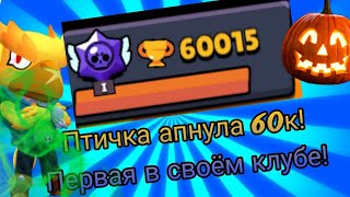 GG! | Птичка апнула 60 к первая в своём КЛУБЕ!   | GO 70K🏆🥇