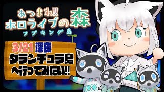 【3/21】タランチュラ島に行きたい狐だなも【あつまれどうぶつの森】