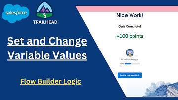 Set and Change Variable Values | Flow Builder Logic | Trailhead / Salesforce