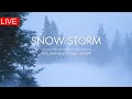 Snow storm in forest  247  winter storm  howling wind sounds for sleeping