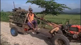 ALAM PEDESAAN CINEMATIC SAWAH GUNUNG KERBAU - FREE VIDEO BACKGROUND, BACKSOUND NO COPYRIGHT