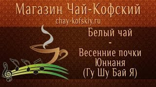 Чай из Китая Весенние почки Юннаня: заваривание! [Chay-Kofskiy.ru]