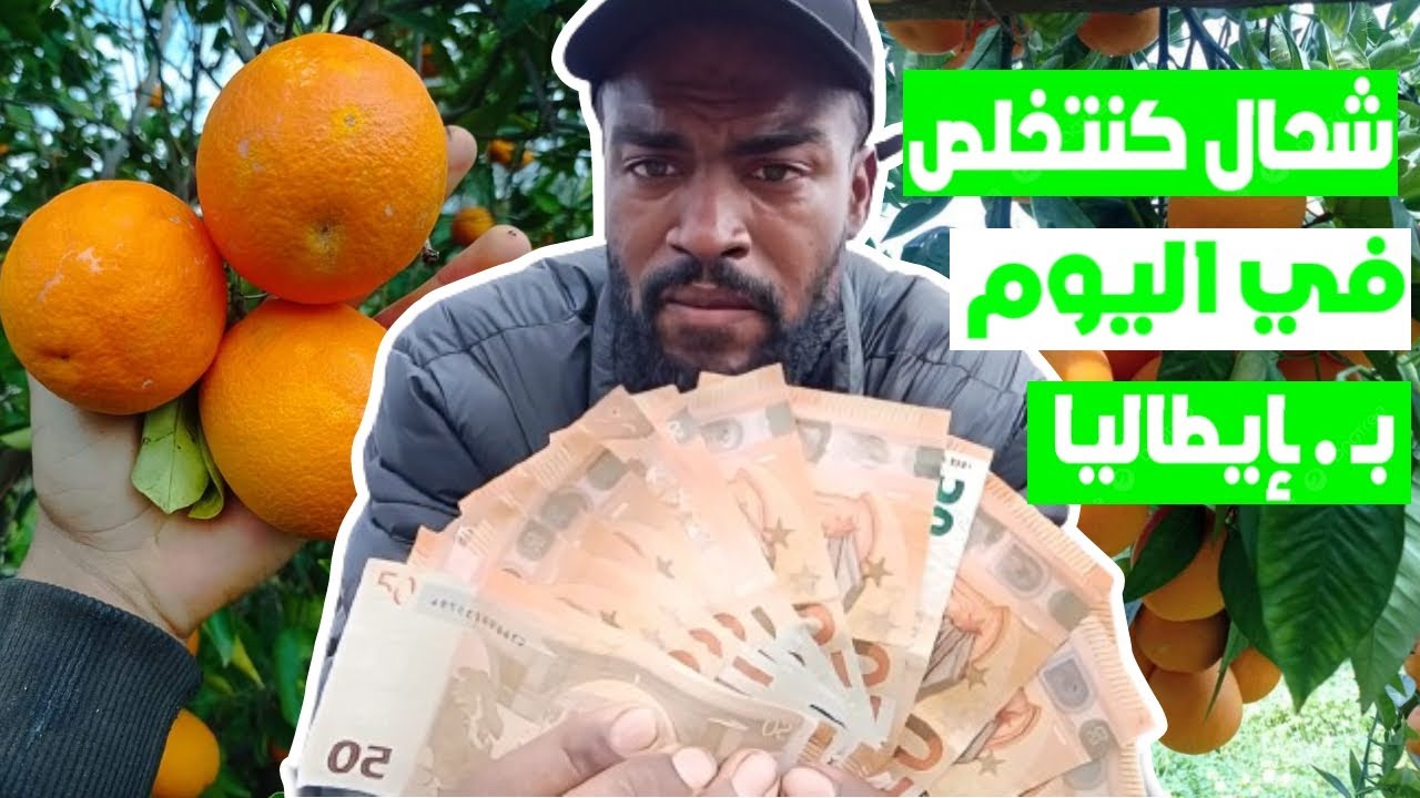 هــا شـحـال كـنـتـخلـص فــالـنـهــار فـإيـطـالـيـا ، أجـــي تـشــوف حـقـيــقـة الـفـلاحـة