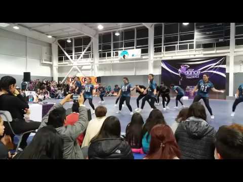 Vikings Elite Gravity - Machali 2016