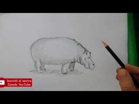 Video: Come Disegnare Pushkin Push