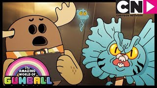 Gumball Türkçe | Çırak | Çizgi film | Cartoon Network Türkiye