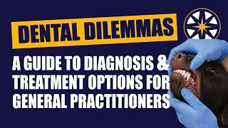 Dental Dilemmas: A Guide To Quick And Effective Treatment Options For The General Practitioner by NorthStar VETS 35 views 10 months ago 44 minutes