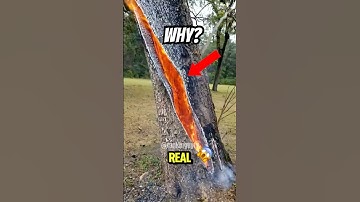 Top 5 PHENOMENA Scientists Still Can’t EXPLAIN (#1 Will Break Your Brain) 😱🌍 Caught on CAMERA