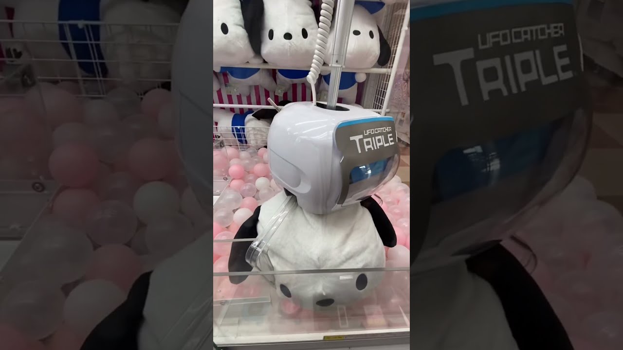 ポチャッコがかわいい！「いっしょにねんね大きなBIGぬいぐるみ