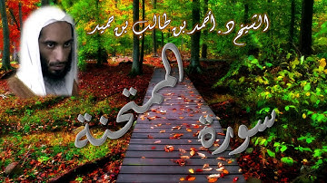 سورة الممتحنة للشيخ أحمد طالب حميد