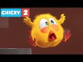 Where's Chicky? Funny Chicky 2021 | NEED AN HAIRCUT | Chicky Cartoon in English for Kids